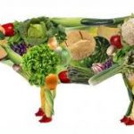 La carnitina