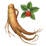 Integratore di Ginseng: le mie impressioni