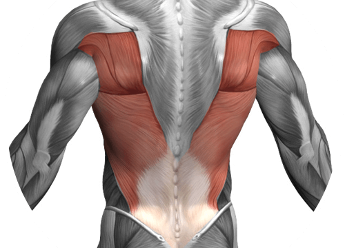 Postura: la fascia correttrice per spalle schiena
