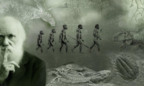 Alieni: gli umani sono tra noi! – Il Darwinismo sotto attacco
