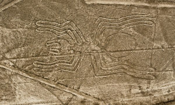 Alieni: gli umani sono tra noi! – Le linee di Nazca